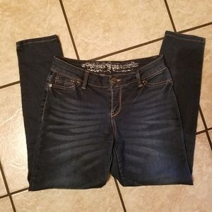 Dark Denim Express Jeggings